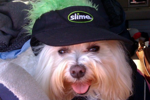 Slime 026