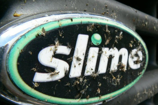 Slime 036